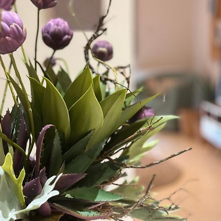 Petite Fleur Apartment เปรเวซา ภายนอก รูปภาพ