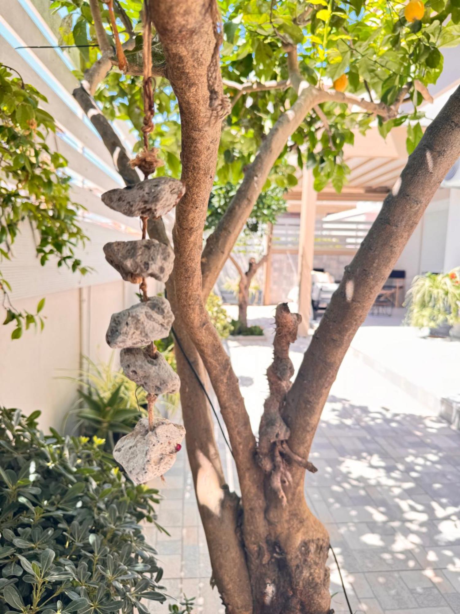 Petite Fleur Apartment เปรเวซา ภายนอก รูปภาพ